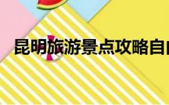 昆明旅游景点攻略自由行（昆明旅游景点）