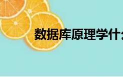 数据库原理学什么（数据库原理）