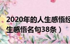 2020年的人生感悟经典语录（2020年经典人生感悟名句38条）