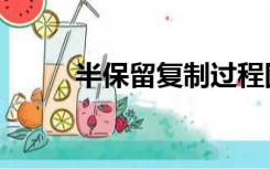 半保留复制过程图（半保留复制）