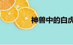 神兽中的白虎（白虎神兽）