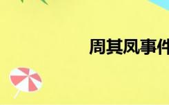 周其凤事件（周其凤）