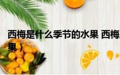 西梅是什么季节的水果 西梅成熟季节（西梅是什么季节的水果）