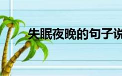失眠夜晚的句子说说心情（失眠夜）