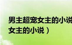 男主超宠女主的小说,从头宠到尾（男主超宠女主的小说）
