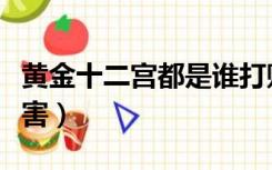 黄金十二宫都是谁打败的（黄金十二宫谁最厉害）