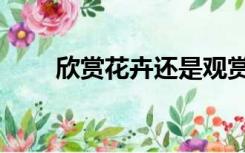 欣赏花卉还是观赏花卉（观赏花卉）