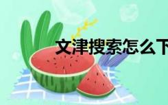 文津搜索怎么下载（文津搜索）