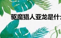 驱魔猎人亚龙是什么电影（驱魔猎人）