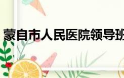 蒙自市人民医院领导班子（蒙自市人民医院）