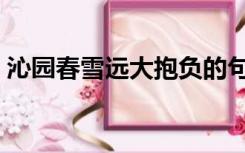 沁园春雪远大抱负的句子（远大抱负的句子）