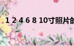 1 2 4 6 8 10寸照片的厘米标准尺寸是多少