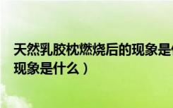 天然乳胶枕燃烧后的现象是什么变化（天然乳胶枕燃烧后的现象是什么）