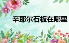 辛耶尔石板在哪里（辛耶尔石板在哪）