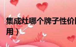 集成灶哪个牌子性价比高（集成灶哪个牌子好用）