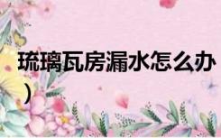 琉璃瓦房漏水怎么办（琉璃瓦屋顶漏水怎么办）