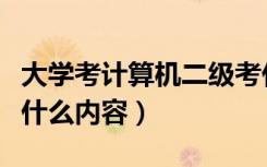 大学考计算机二级考什么内容（计算机二级考什么内容）