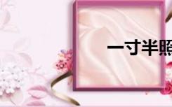 一寸半照片多大？