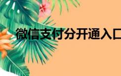 微信支付分开通入口（微信支付分开通）