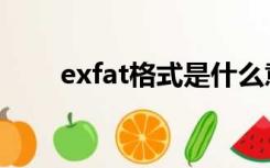 exfat格式是什么意思（exfat格式）