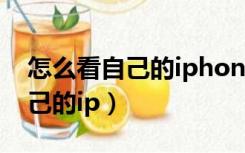 怎么看自己的iphone是什么版本（怎么看自己的ip）