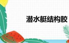 潜水艇结构胶（潜水艇结构）