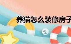 养猫怎么装修房子（养猫怎么装修）