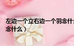 左边一个立右边一个羽念什么字儿（左边一个立右边一个羽念什么）