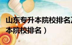 山东专升本院校排名及录取最低分（山东专升本院校排名）