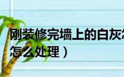 刚装修完墙上的白灰怎么清理（装修后的白灰怎么处理）