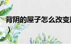 背阴的屋子怎么改变风水（背阴房间怎么装修）