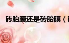 砖胎膜还是砖胎膜（砖胎膜是干什么用的）