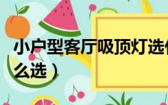 小户型客厅吸顶灯选什么样的（客厅吸顶灯怎么选）