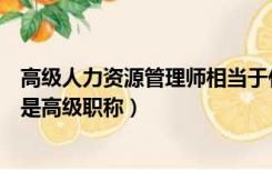 高级人力资源管理师相当于什么职称（高级人力资源管理师是高级职称）