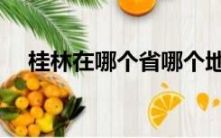 桂林在哪个省哪个地区（桂林在哪个省）