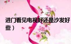 进门看见电视好还是沙发好（进门见沙发还是电视背景好一些）