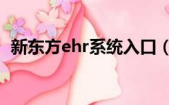 新东方ehr系统入口（新东方ehr系统登录）