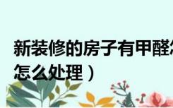 新装修的房子有甲醛怎么处理（新房装修甲醛怎么处理）