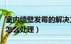 室内墙壁发霉的解决方法（室内墙壁受潮发霉怎么处理）