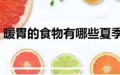 暖胃的食物有哪些夏季（暖胃的食物有哪些）