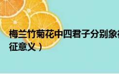 梅兰竹菊花中四君子分别象征着什么（梅兰竹菊四君子的象征意义）
