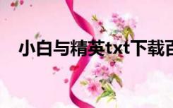 小白与精英txt下载百度云（小白与精英）