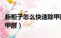 新柜子怎么快速除甲醛（新衣柜怎么快速去除甲醛）