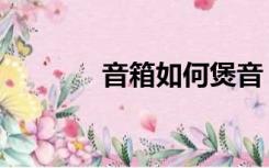 音箱如何煲音（如何煲音箱）