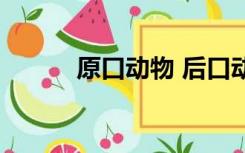 原口动物 后口动物（原口动物）