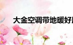 大金空调带地暖好用吗（地暖好用吗）