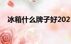 冰箱什么牌子好2021（冰箱什么牌子好）