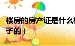 楼房的房产证是什么样子的（房产证是什么样子的）