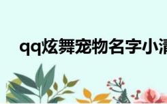 qq炫舞宠物名字小清新（炫舞宠物名字）