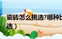 瓷砖怎么挑选?哪种比较好知乎（瓷砖怎么挑选）